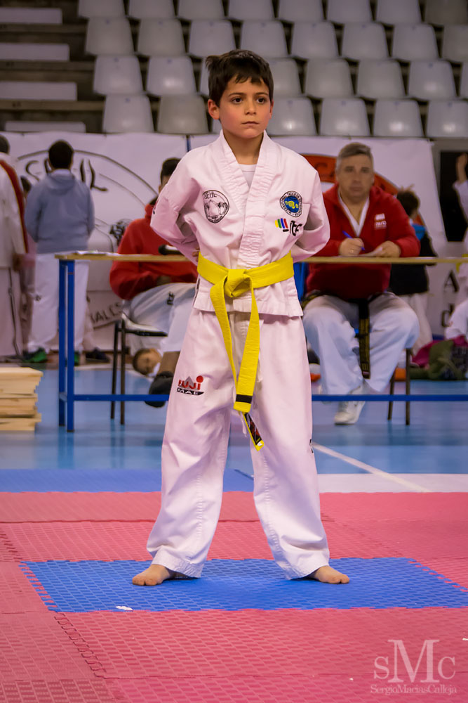 TAEKWONDO CAMPEONATO PAREJAS ABRIL 2018_1720.jpg